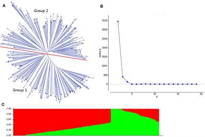 Dissection of Superior Alleles for Yield-Related Traits and Their Distribution in Important Cultivars of Wheat by Association Mapping
